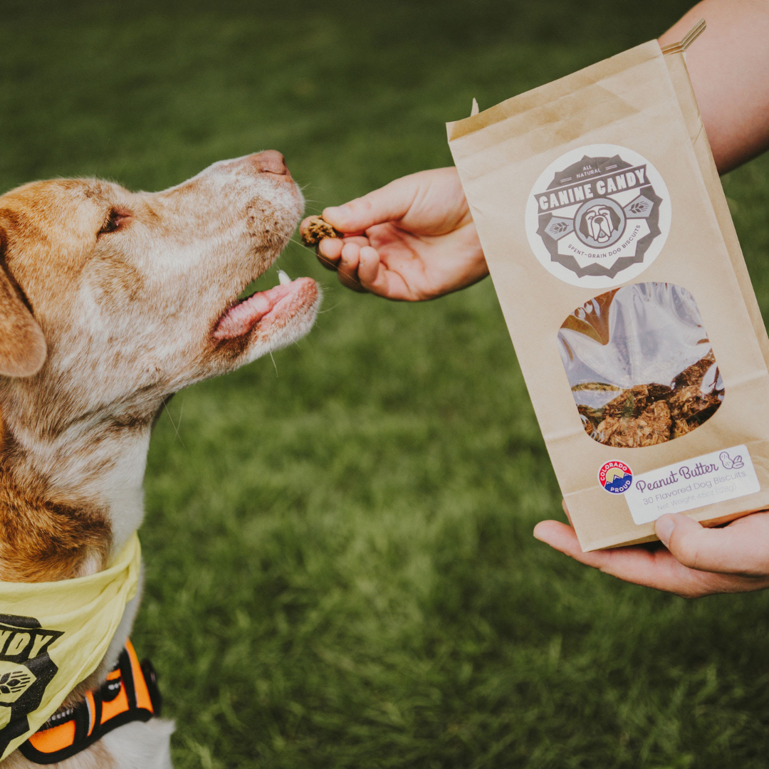 a person feeding a dog a bag of dog food on the lawn.