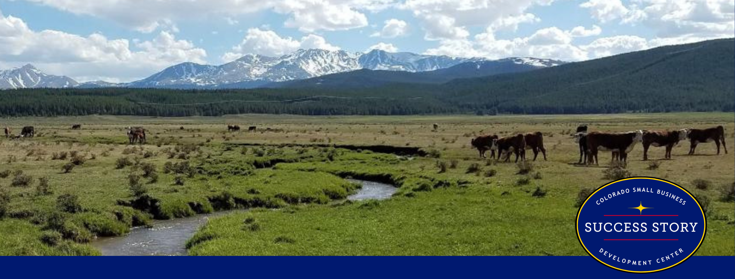 cattle grazing in a field near a stream with mountains in the background.