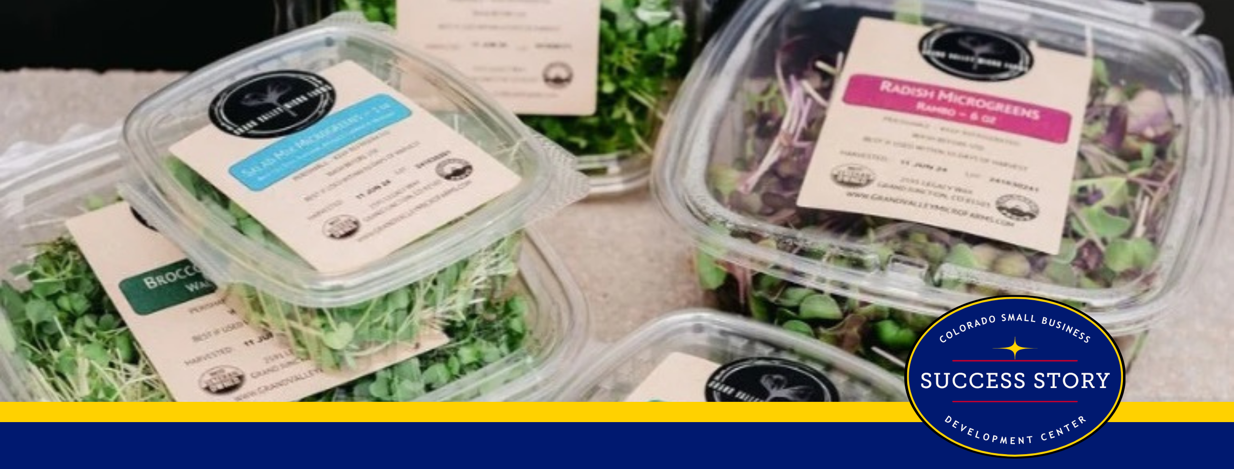 several plastic containers with different types of greens in them.