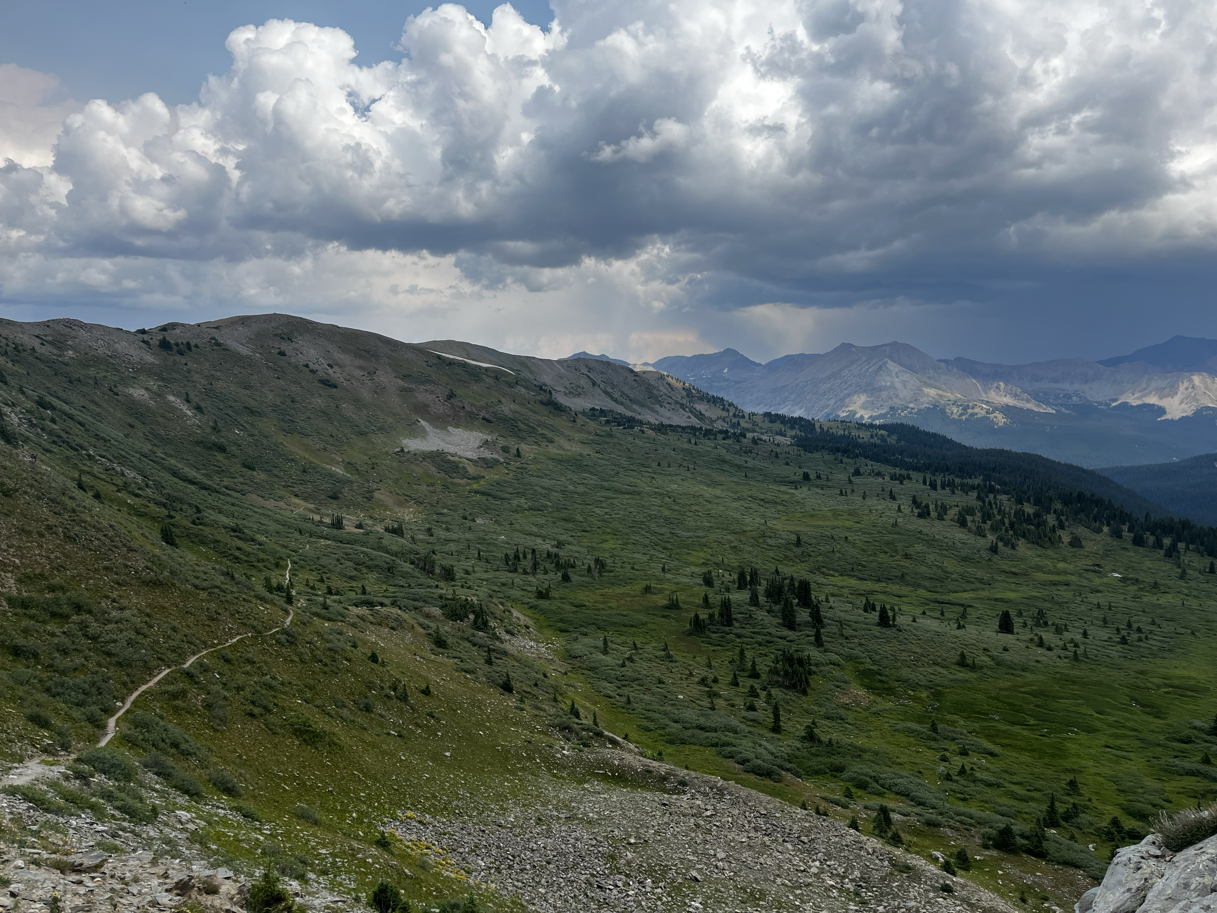 Mountains up at Cottonwood pass in the summer time. There's a trail on the left side which is the Colorado Trail and blue skies with fluffy clouds. 